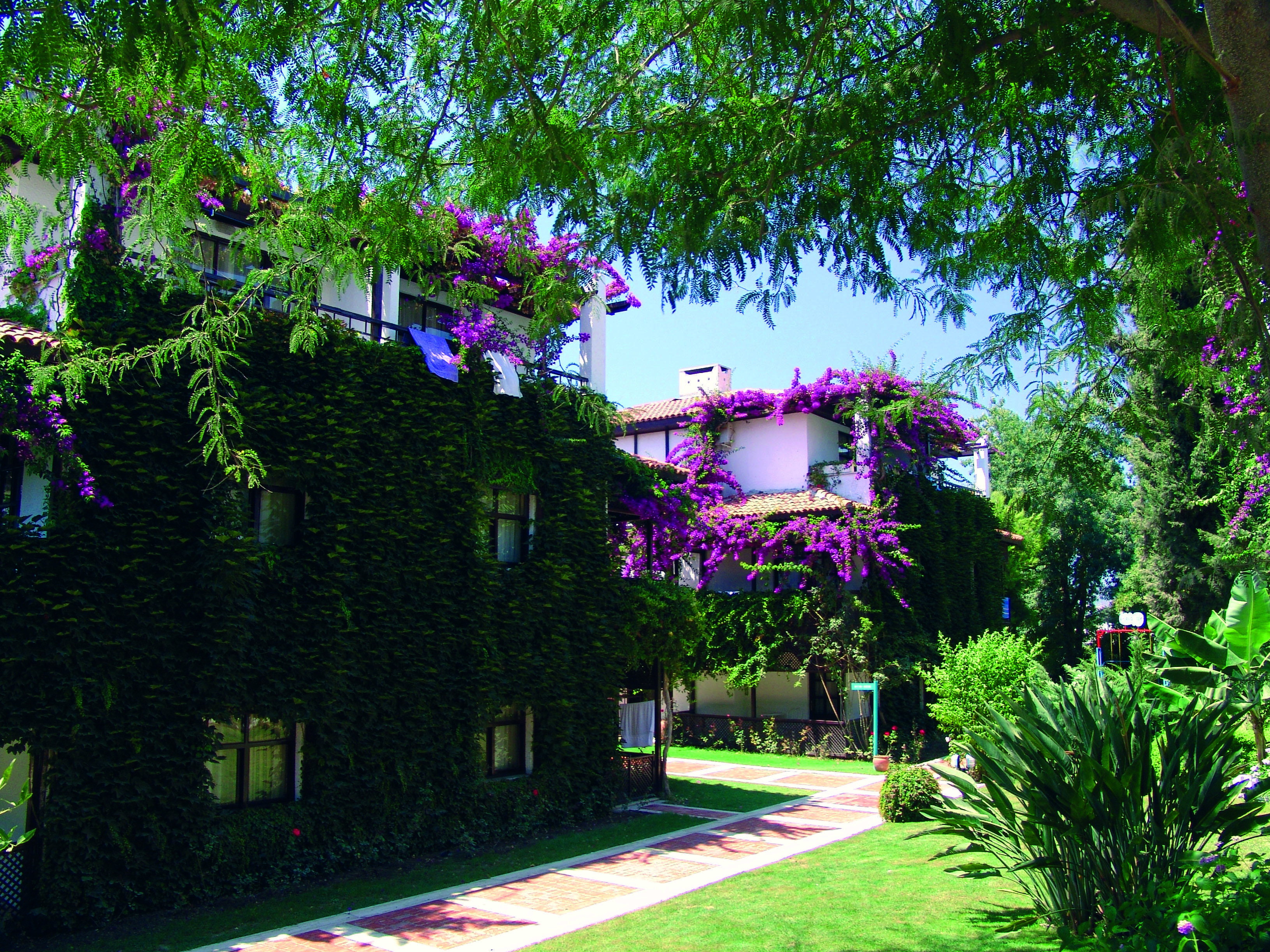 Titan Club Hotel Ultra All Inclusive Kargicak  Exteriör bild