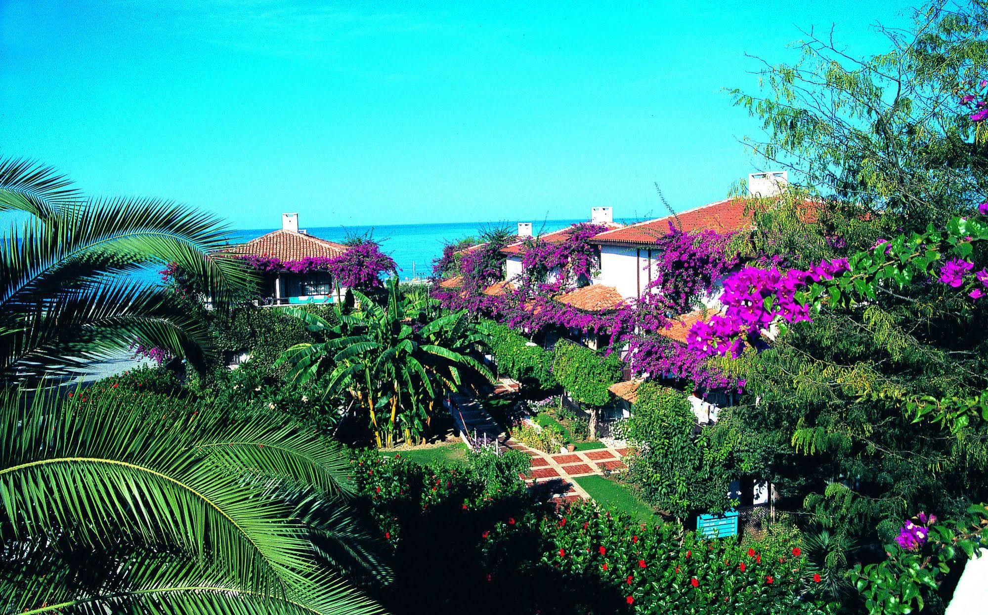 Titan Club Hotel Ultra All Inclusive Kargicak  Exteriör bild